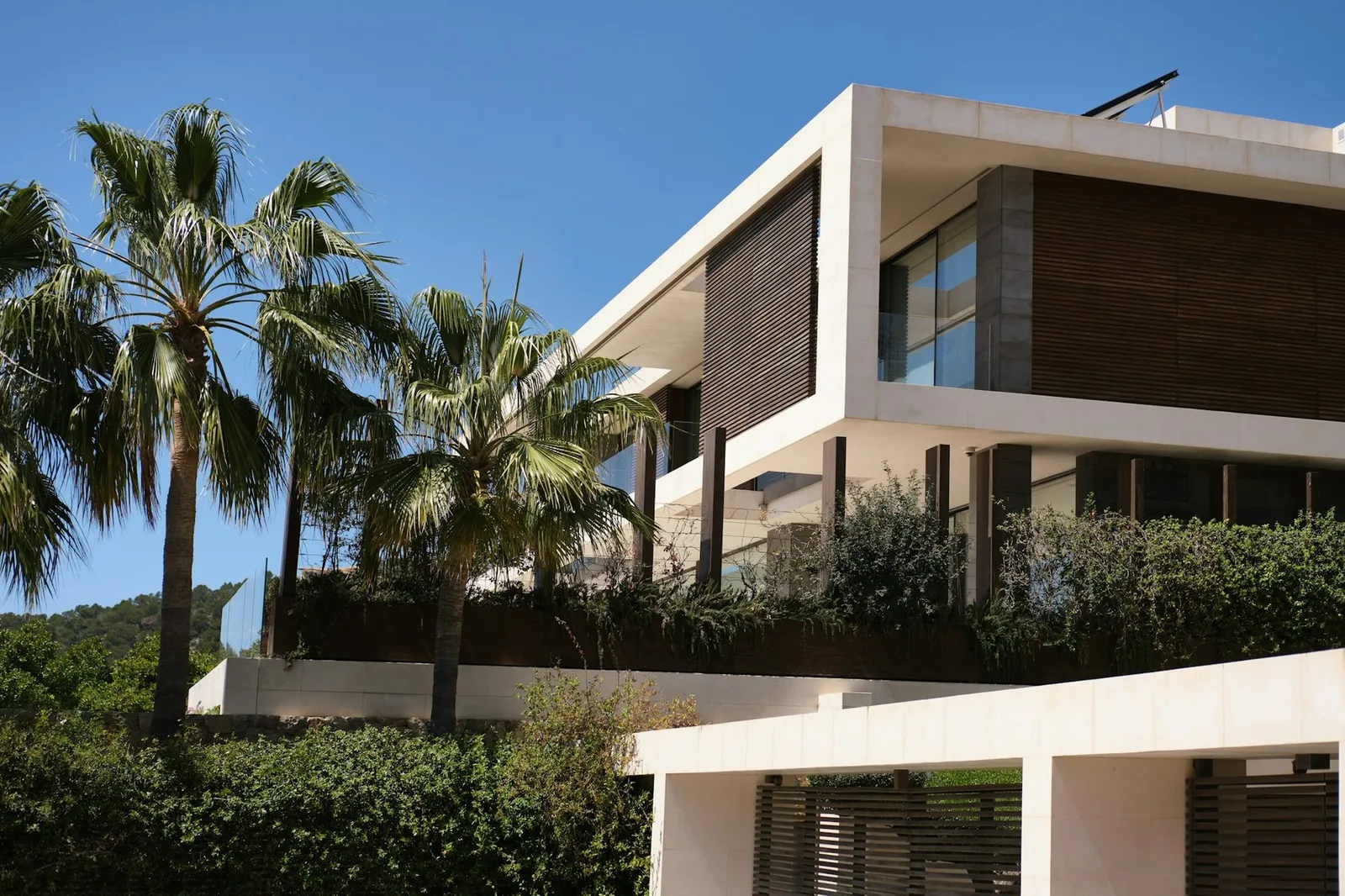 Modern villa exterior with palm trees in Abu Dhabi